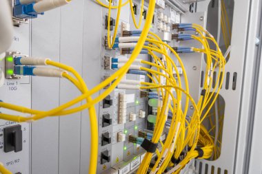 Fiber optik ağ kablolarından oluşan yama paneli. Bir rafta fiber optik kurulum