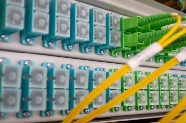 Fiber optik ağ kablolarından oluşan yama paneli. Bir rafta fiber optik kurulum