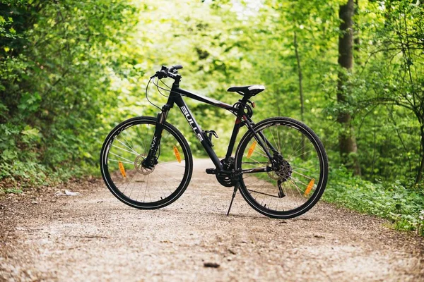 Vélo Debout Milieu Jungle Images De Stock Libres De Droits