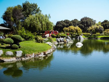 Havuzu ve kırmızı köprüsü olan sakin bir park. Su durgun ve köprü çarpıcı kırmızı bir renk. Park ağaçlarla çevrili ve huzurlu bir atmosferi var.