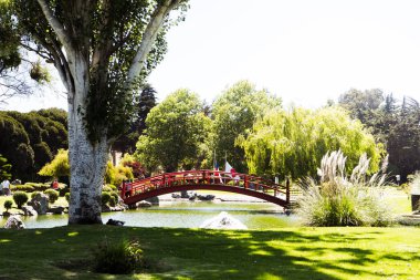 Havuzu ve kırmızı köprüsü olan sakin bir park. Su durgun ve köprü çarpıcı kırmızı bir renk. Park ağaçlarla çevrili ve huzurlu bir atmosferi var.
