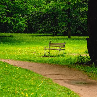 Ağaçların, otların ve karahindibaların arasında boş bir bank var. Mahremiyet.