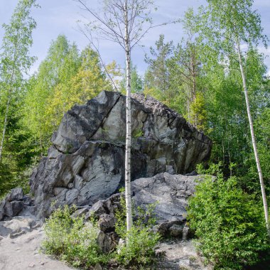 Mermerden yapılmış bir kaya parçası. Etrafı huş ağaçlarıyla çevrili..