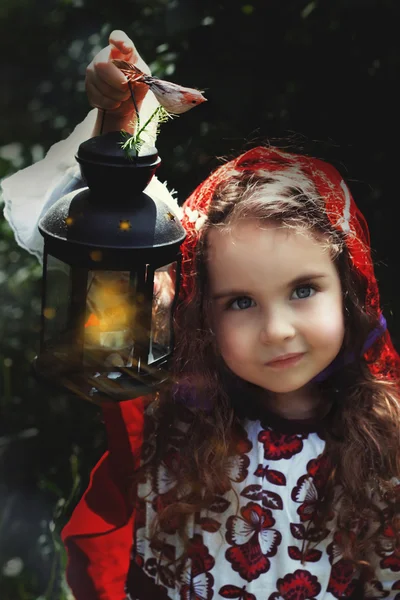 La petite capuche rouge — Photo