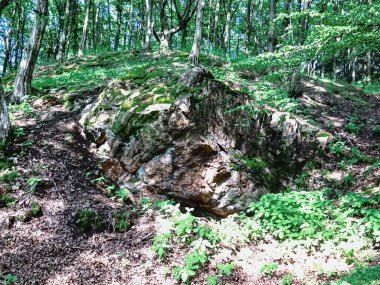 Yükseklerdeki tilki kayası.