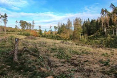 İskoçya 'daki doğanın güzelliği.