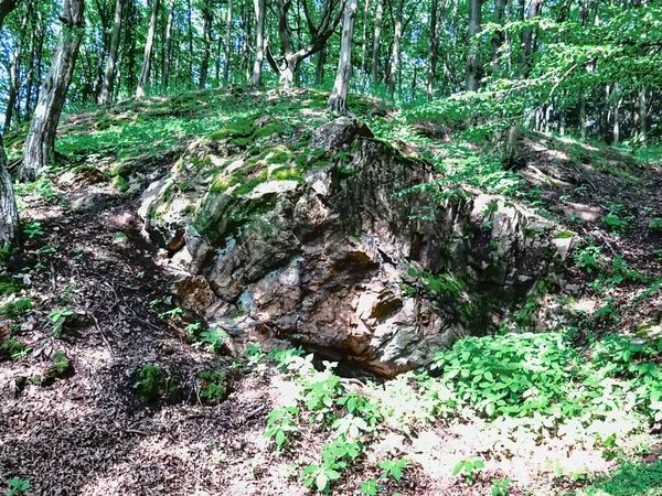 Yükseklerdeki tilki kayası.