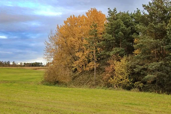 Herbstliche Landschaft Hochland — Stockfoto