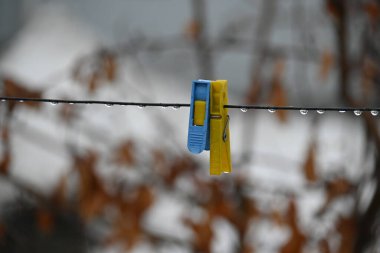 Yağmurdan sonra baharın tazeliği