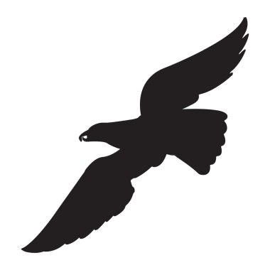 bir yırtıcı kuş vektör görüntü