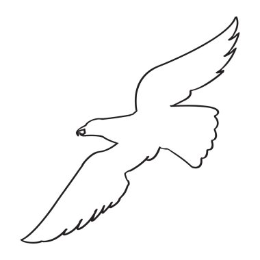 bir yırtıcı kuş vektör görüntü