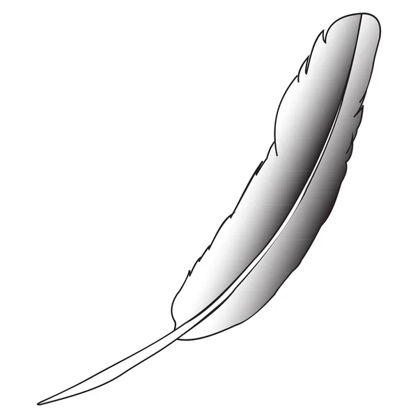 Imagen vectorial de la pluma del ave — Vector de stock