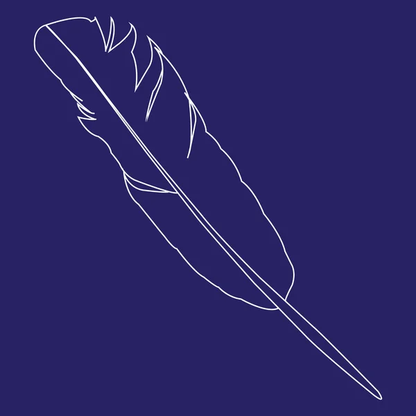 Imagen vectorial de la pluma del ave — Vector de stock