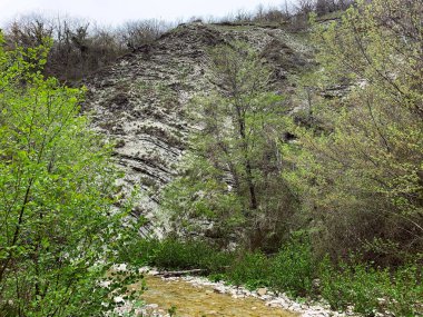 Nehir dağların ve yeşil ormanın arasından akar.