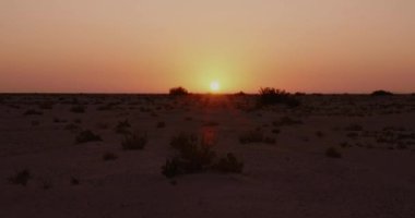 SAHARA DERT GÜNEŞ