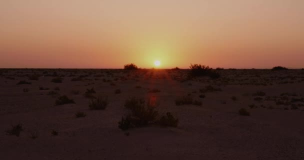 SUNRISE DEL DESERTO DE SAHARA — Vídeos de Stock