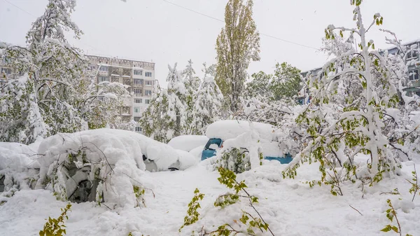 Городской Двор Большим Количеством Снега Зелеными Лианами Сломанными Крытыми Машинами — стоковое фото