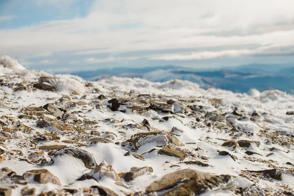Rocky dağları, Romanya 'nın Sinaia kentindeki dağın zirvesinde yol alıyor. Jeoloji konsepti. Rahatlama taşı. Yüksek kalite fotoğraf