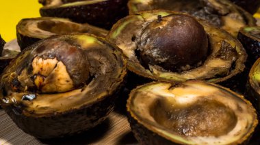 Kötü Avokado 'yu kapatın. Çirkin Tropik meyveler. Kirlenmiş Avokado yarıları. Nekomestibile meyveleri. Detaylar Olgunlaşmış Avokado. Yardımcı olmayan yiyecekler..