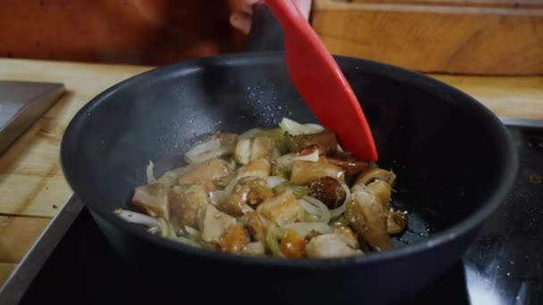 Cozinhar Conceito Refeição Saborosa Fritando Boleto Cogumelo Cebola Uma Panela — Vídeo de Stock