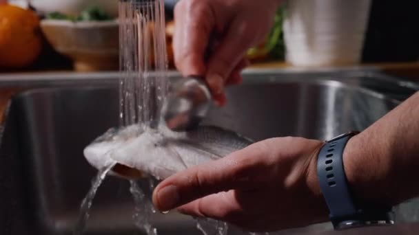 Nettoyage Poisson Jet Eau Avant Cuisson Poisson Doré Tête Dorée — Video