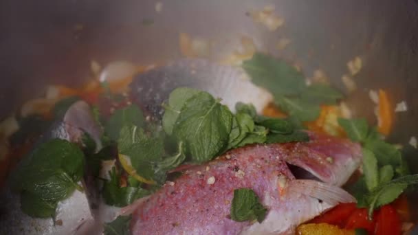 Cozinhar Frutos Mar Preparação Prato Mediterrânico Moluscos Frescos Fish Shell — Vídeo de Stock