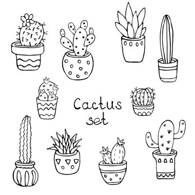 Tencerelerde farklı türde kaktüsler. Lezzetli. Beyaz arka planda siyah bir çizgi. Karalama biçiminde vektör illüstrasyonu.