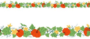 Balkabakları, çiçekler ve yapraklarla yatay ve pürüzsüz desen. Balkabağı bitkisiyle renkli botanik sınırı. Çerçeve ya da sınırlar için tasarım. Vektör illüstrasyonu