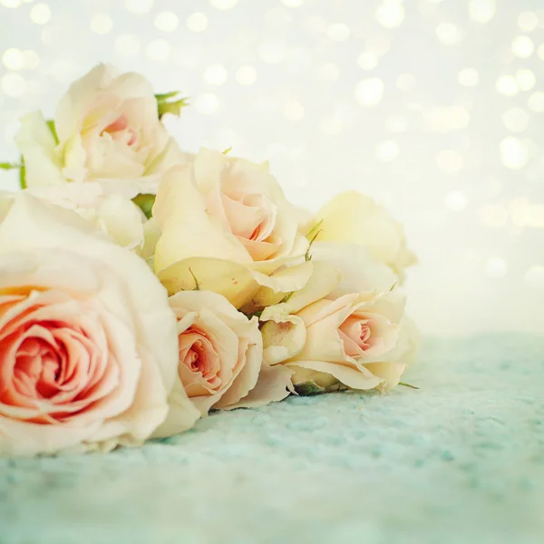 Flores de rosas frescas —  Fotos de Stock