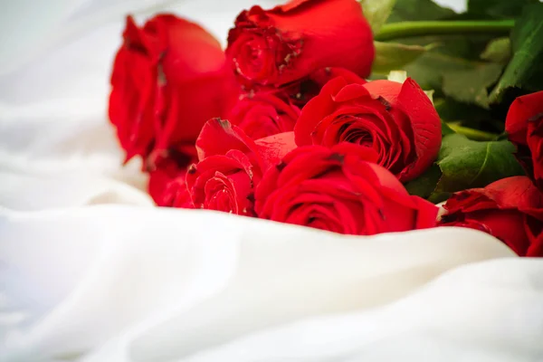 Belle rose rosse. Sfondo — Foto Stock