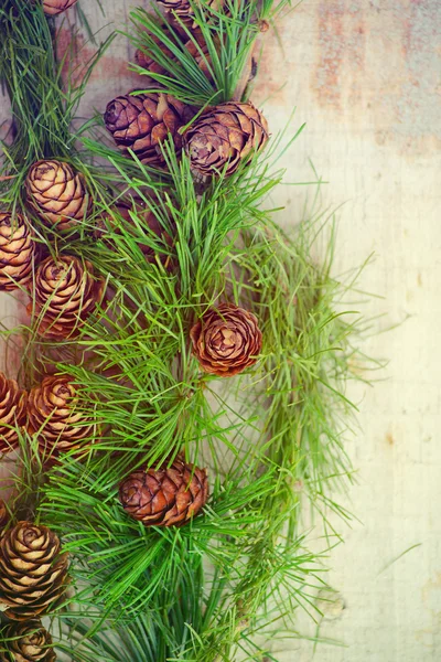 Weihnachtsdekoration. — Stockfoto