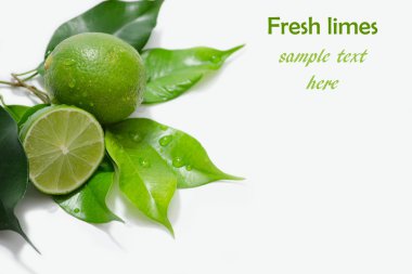 taze limes