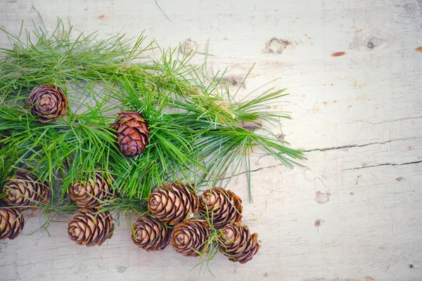 Weihnachtsdekoration. — Stockfoto