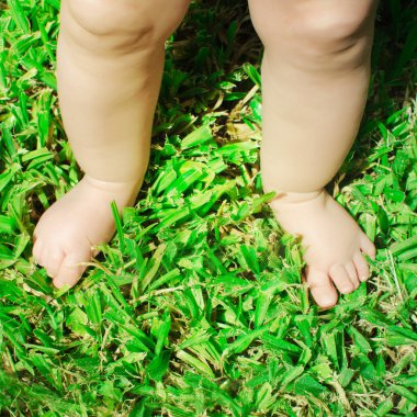 baby feet on the green grass.