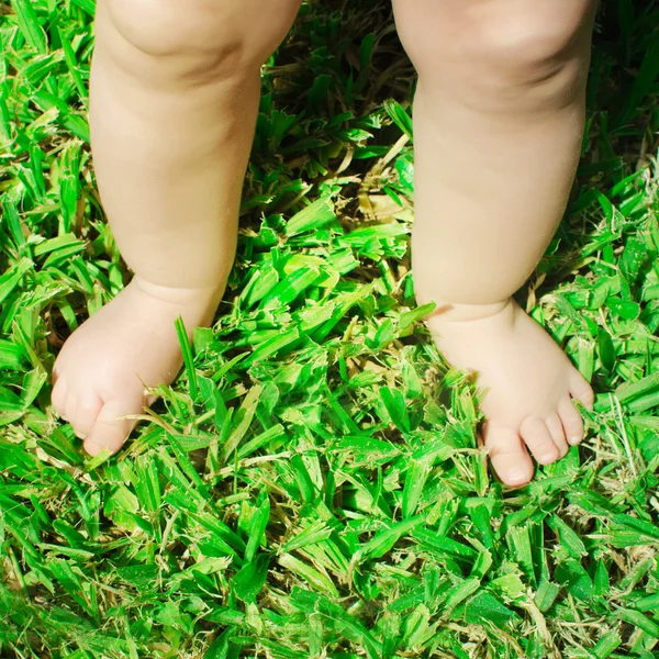 Pies de bebé en la hierba verde . —  Fotos de Stock