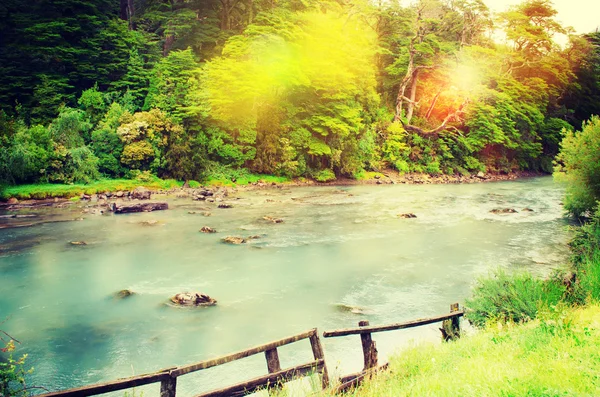 Rivier in bergbos. — Stockfoto