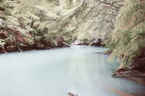 Річка в гірничо-лісовій. — стокове фото