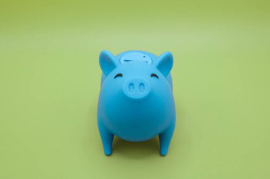 Piggy bank on green background. Finance, saving money concept.
