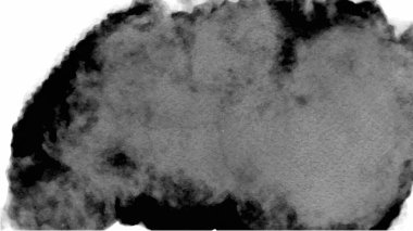 Tasarımınız için siyah suluboya arkaplan, suluboya arkaplan, vektör.