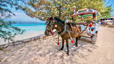 Lombok, Endonezya 'daki Gili Meno Adası' nda cidomo olarak bilinen süslü bir at arabası. Gili adalarında motorlu araçlar yasaklandı.