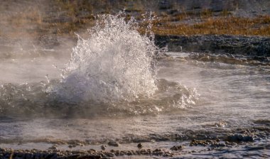 Yellowstone Ulusal Parkı, Wyoming, ABD 'deki Yukarı Gayzer Havzası' ndaki püskürmenin başlangıcında kabarcık ve buhar üreten küçük bir gayzer..