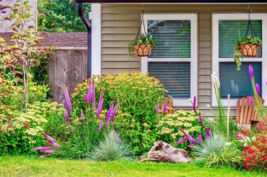 Vancouver, Kanada yakınlarındaki bir banliyö evinin önündeki güzel ve renkli bir yaz bahçesinde çiçek açan sokak manzarası.