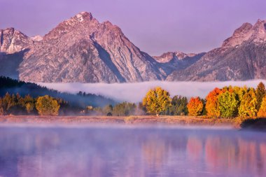 Şafakta güzel bir sonbahar manzarası, sisli suya yansıyan renkli yapraklar ve arka planda Teton dağları. Grand Teton Ulusal Parkı.