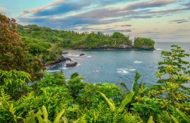 A beautiful secluded bay near Hilo, Hawaii, with lush tropical vegetation and picturesque scenery. clipart