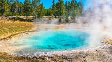 Yellowstone Ulusal Parkı 'nın Aşağı Gayzer Havzası' ndaki Fountain Paint Pot 'ta berrak turkuaz mavi su ve yükselen Silex Baharı. Wyoming, ABD.