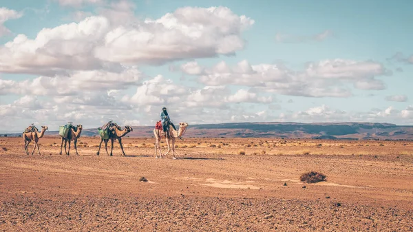 Płaskowyż Sahara Maroko Października 2015 Pokazuje Tradycyjny Transport Pustyni Jako — Zdjęcie stockowe