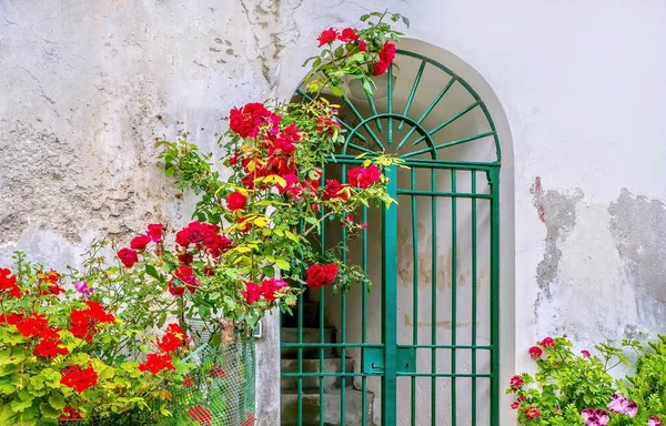 Summer in Italy, with a street view of an arched entryway with an iron gate, set in an old, cracked, pitted wall, along with an ornamental garden of colorful roses, geraniums, and pansies.