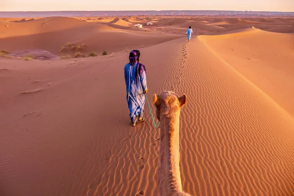 Zwei Nomaden Traditioneller Kleidung Führen Ein Kamel Durch Sanddünen Einem — Stockfoto