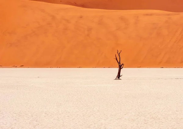Paesaggio Argilla Bianca Brillante Che Conduce Una Grande Duna Sabbia — Foto Stock