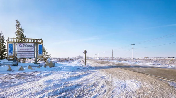Sotto Temperature Gelide Paesaggio Tundra Come Neve Soffia Attraverso Autostrada — Foto Stock